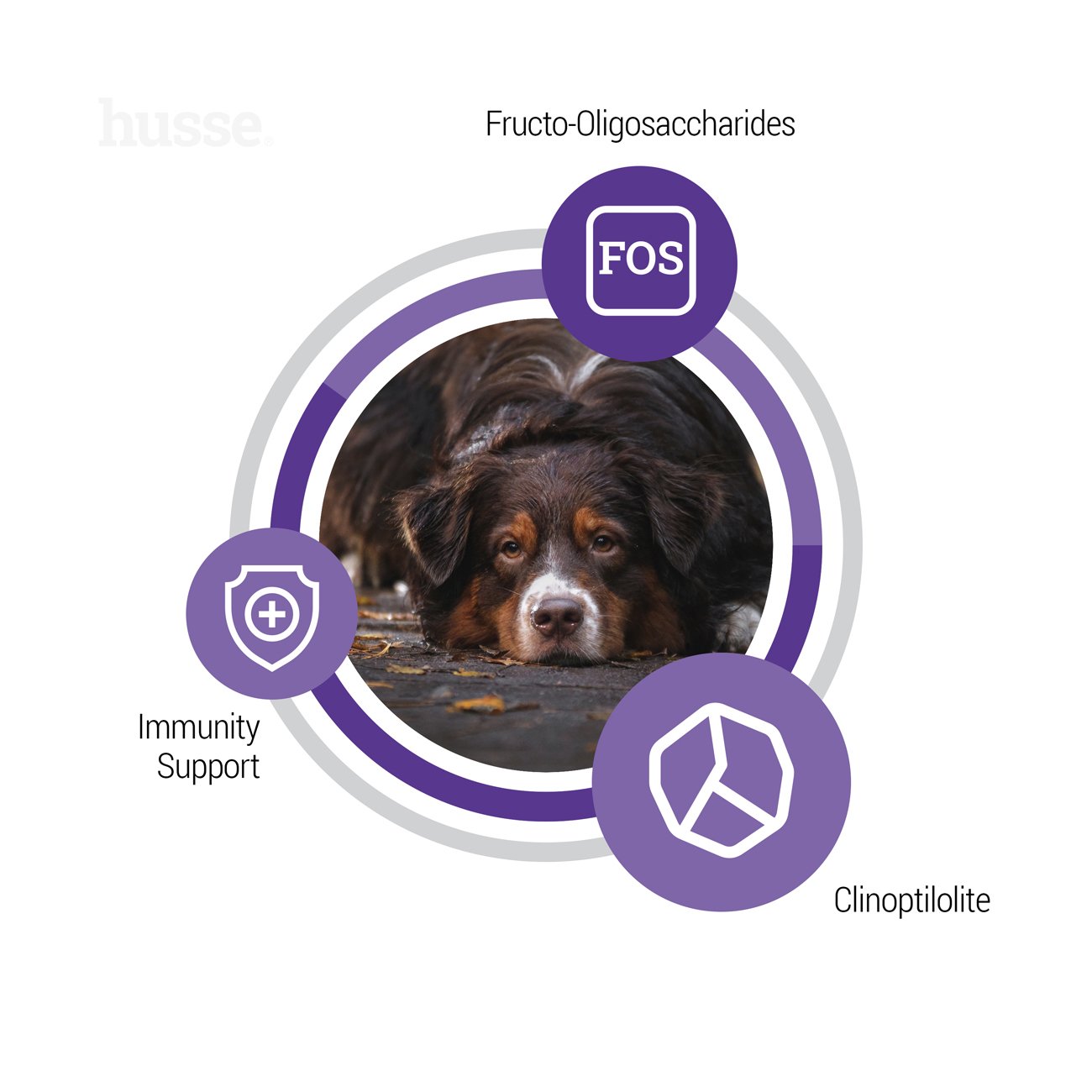 Senior, 12 kg | Granulované krmivo pro starší psy