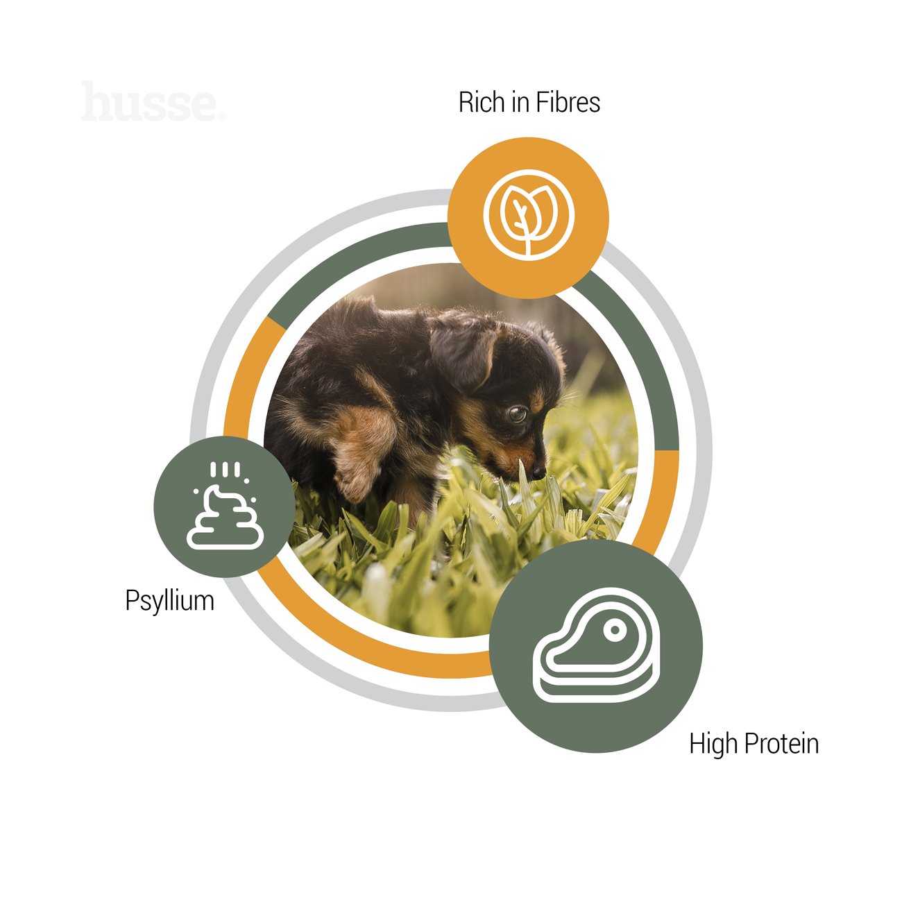 Valp Plus, 2 kg |  Granulované bezlepkové krmivo pro štěňata