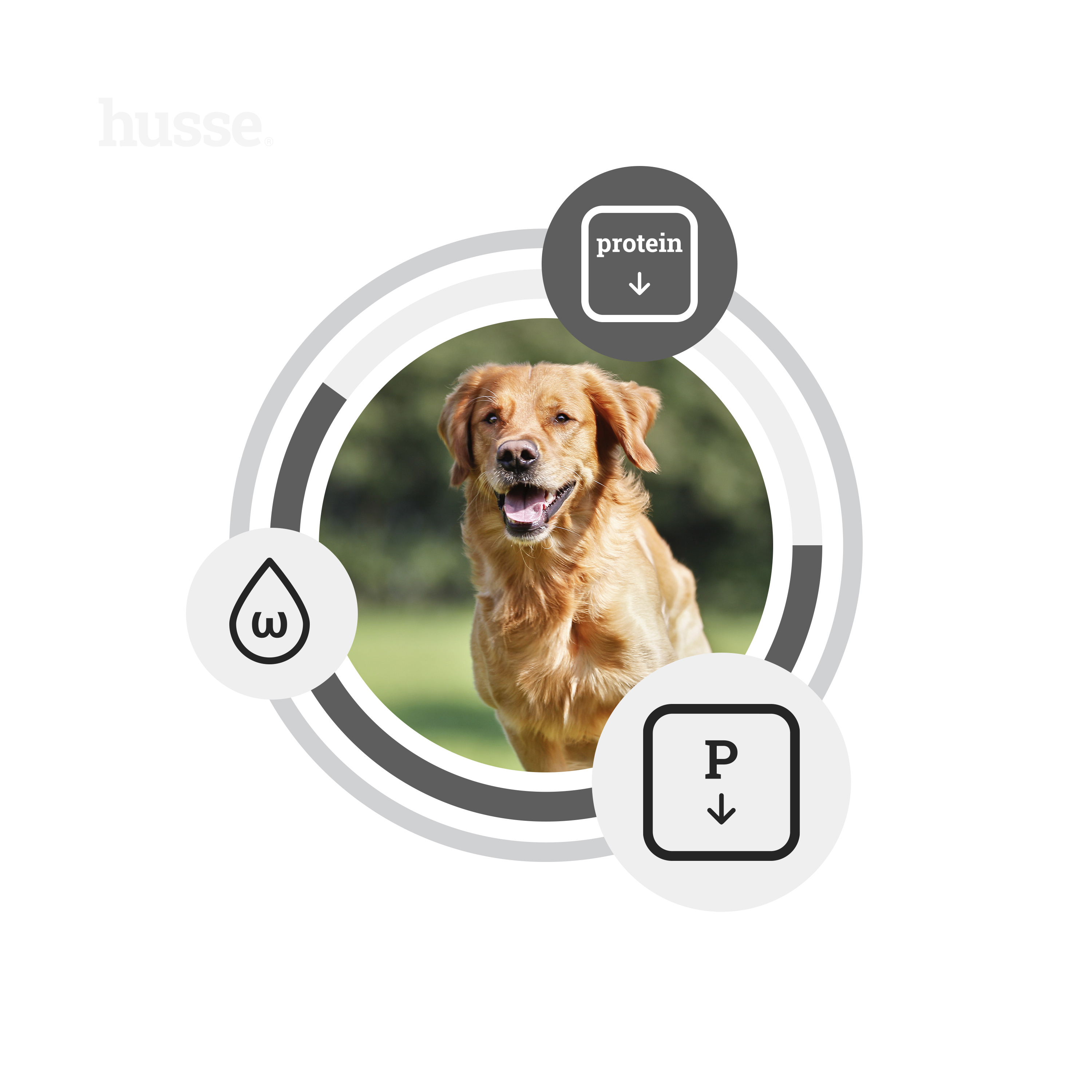 Diet Kidney, Heart & Liver | Dietní kompletní krmivo pro dospělé psy