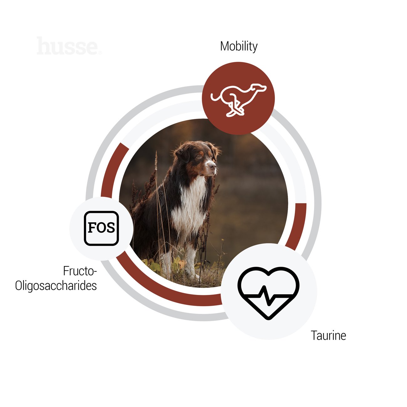 Sensitive Digest Giant, 12,5 kg | Hypoalergenní granule s jehněčím masem a rýži pro velká plemena s citlivým zažíváním