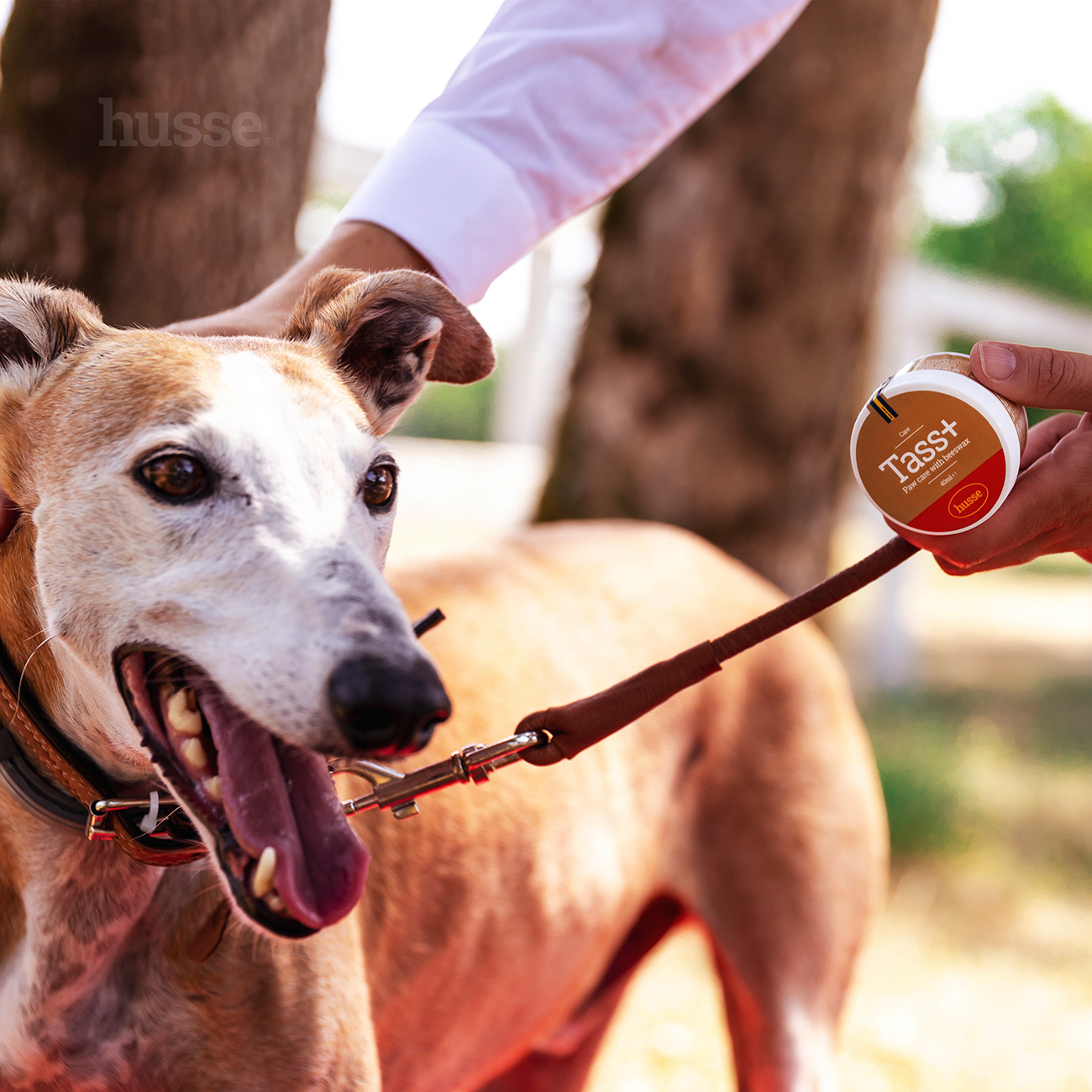 Tass Plus | Péče o tlapky se včelím voskem