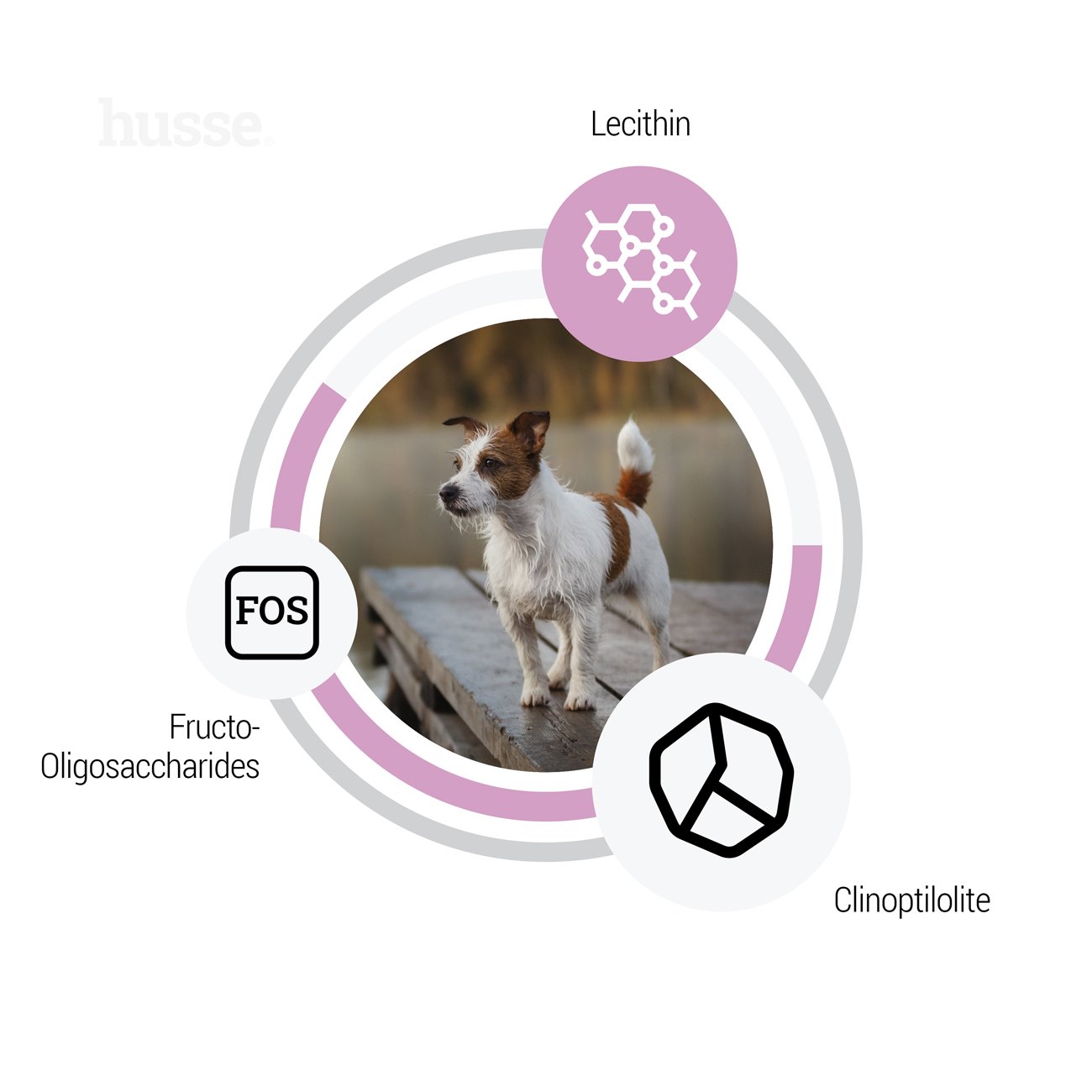 Sensitive Ocean Care Mini, 2 kg | Hypoalergenní granulované krmivo s lososem a rýži speciálně vyvinuté pro dospělé psy malých plemen s citlivým zažíváním