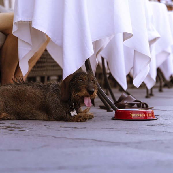 Miska, S | Protiskluzová miska pro psy a kočky