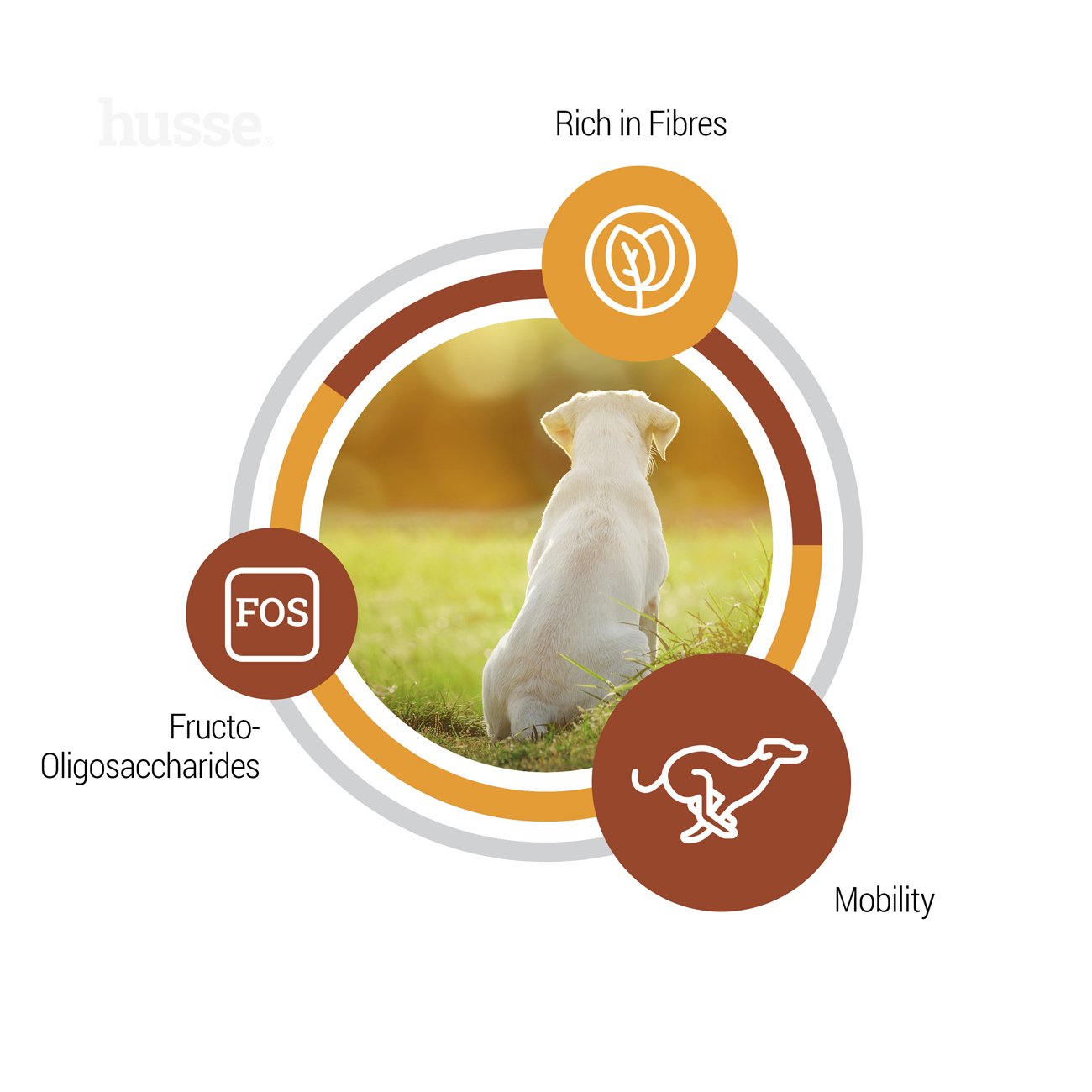 Valp Maxi, 12 kg | Granulované krmivo pro štěňata velkých plemen