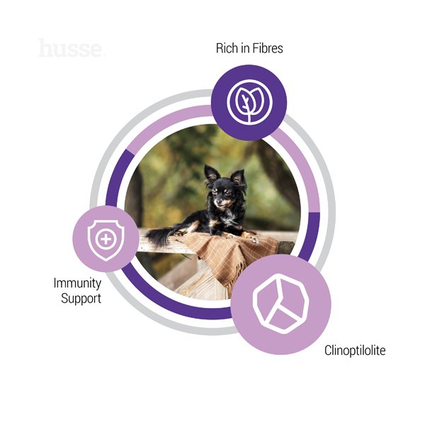 Sterilised Mini, 2 kg | Granulované krmivo pro kastrované a sterilizované psy malých plemen