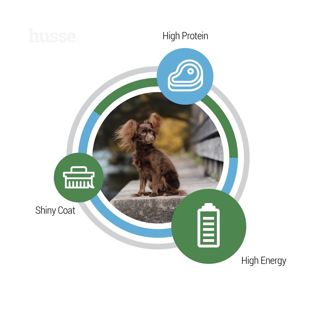 Optimal Mini, 2 kg | Granulované krmivo vhodné pro psy malých plemen s vyššími energetickými nároky