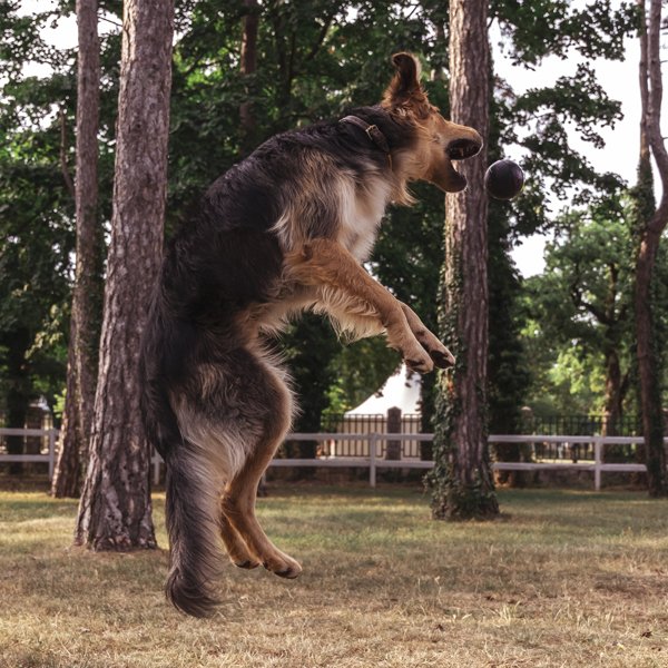 Boll, S | Skákací gumový míček