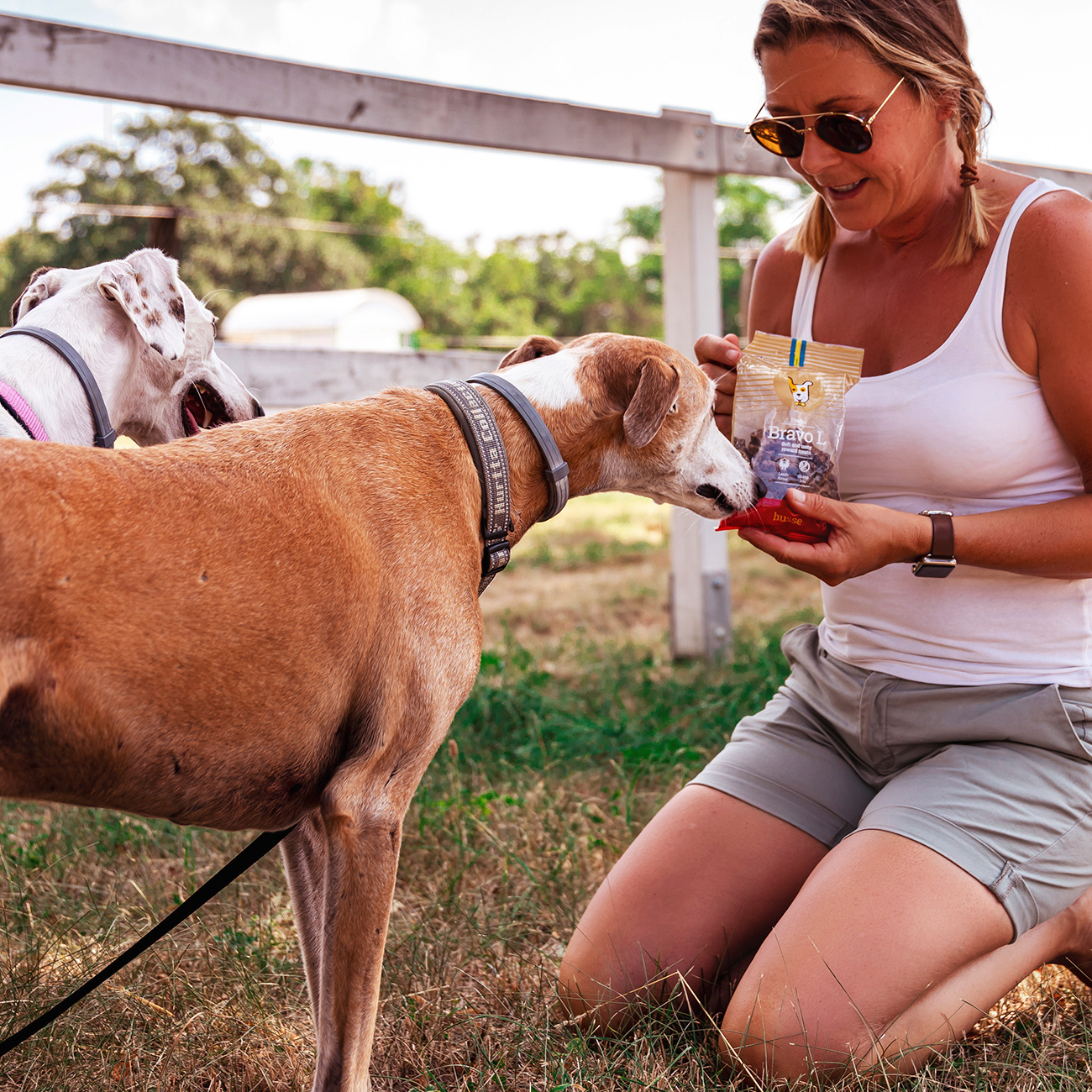 Bravo L, 150 g | Bezlepková měkká pochoutka s jehněčím masem