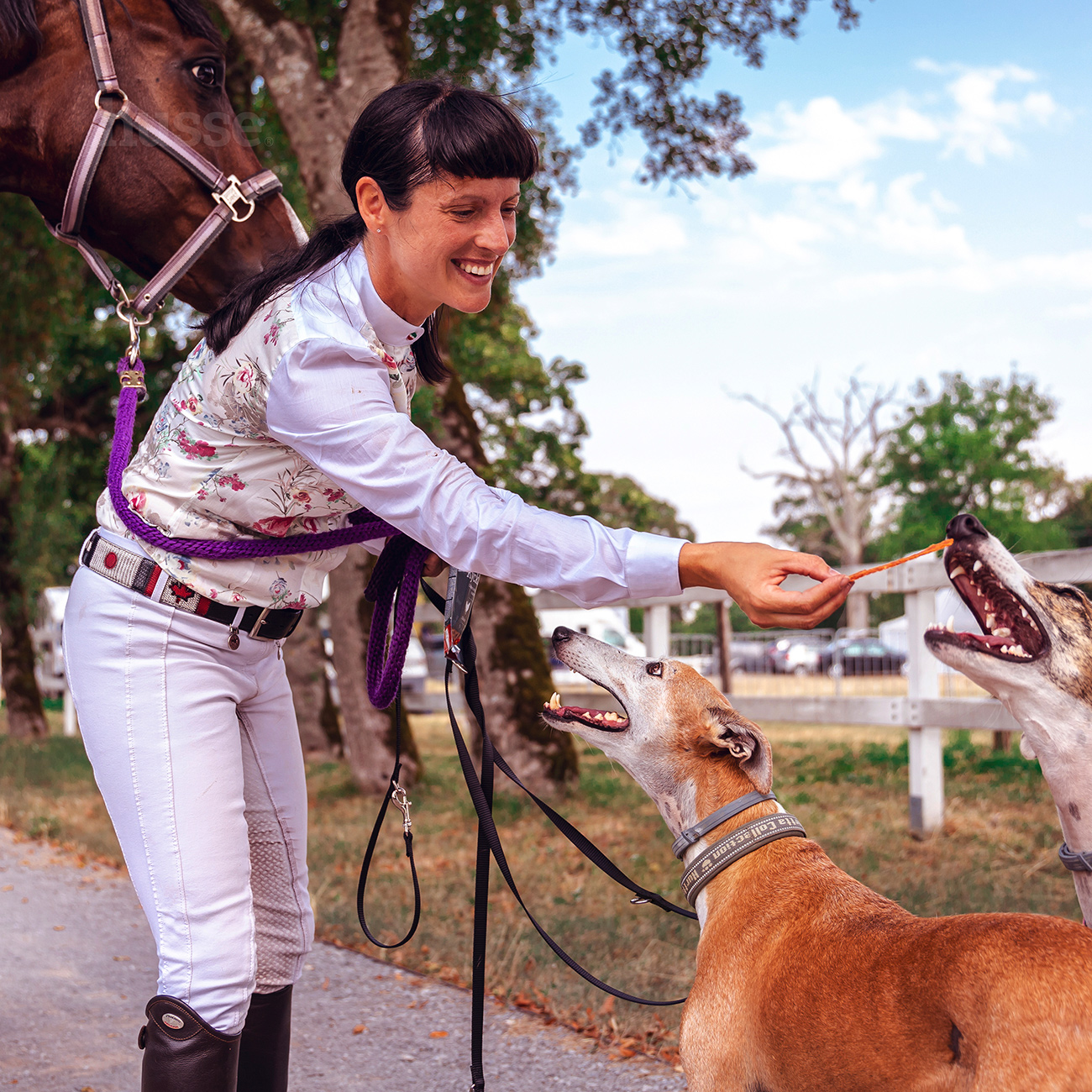 Kycklingfilé, 100 g | Pamlsky ze sušeného kuřecího masa
