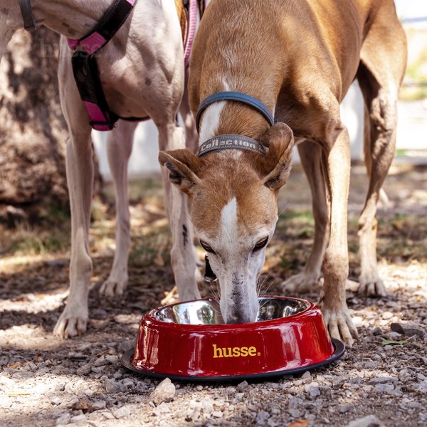 Miska, S | Protiskluzová miska pro psy a kočky