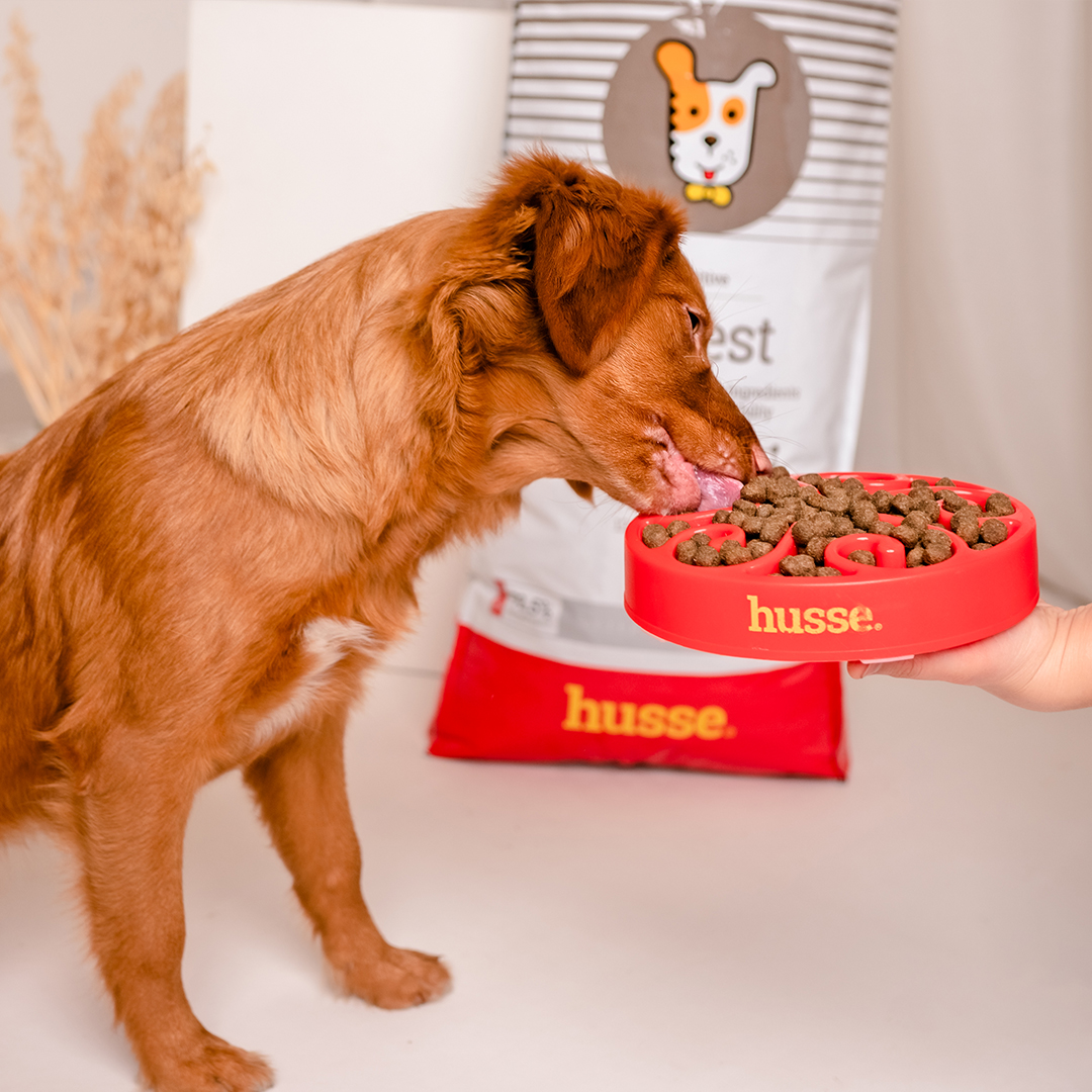 Sensitive Digest, 2 kg | Granulované krmivo pro psy s citlivým zažíváním