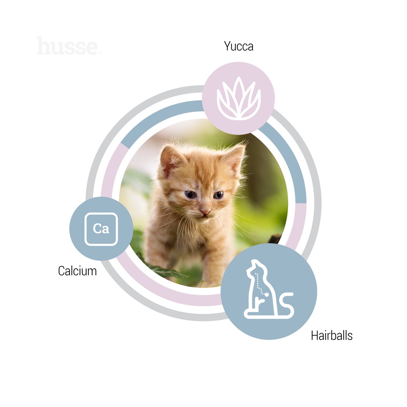 Exclusive Kattunge, 2 kg | Granulované krmivo pro koťata