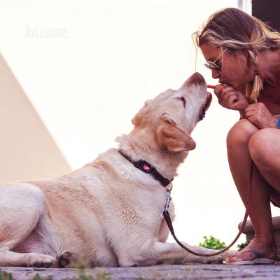 Kycklingfilé, 100 g | Pamlsky ze sušeného kuřecího masa