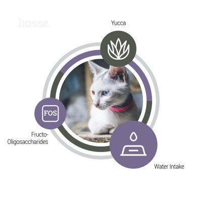 Exclusive Urinary, 2 kg | Granulované krmivo pro dospělé kočky s urinálními problémy