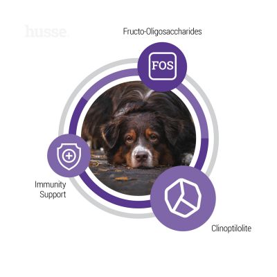 Senior, 12 kg | Granulované krmivo pro starší psy