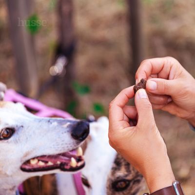 Bravo L, 150 g | Bezlepková měkká pochoutka s jehněčím masem