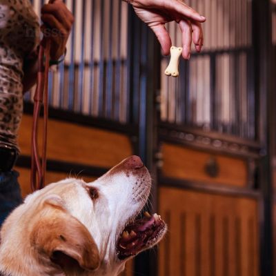 Kex XS, 500 g | Chutné sušenky obohacené o vitamíny