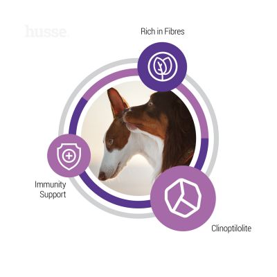 Sterilised, 12 kg | Granulované krmivo pro kastrované a sterilizované psy