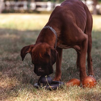 Kägel, S |  Hračka pro domácí mazlíčky vyrobená z přírodního kaučuku