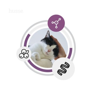 Fresh Sterilised, 7 kg | Kompletní krmivo pro kastrované kočky s čerstvým masem