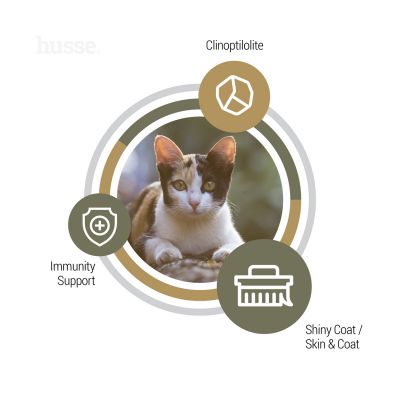 Opus Lynx, 2 kg | Bezlepkové granulované krmivo pro dospělé kočky