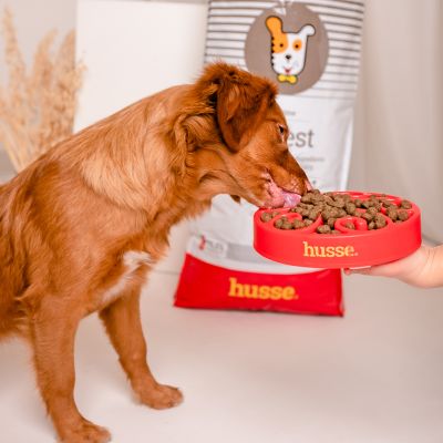 Sensitive Digest, 2 kg | Granulované krmivo pro psy s citlivým zažíváním