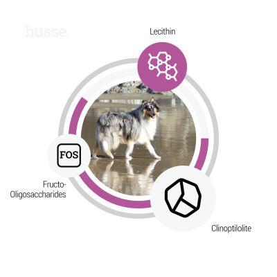 Sensitive Ocean Care, 12,5 kg | Hypoalergenní granulované krmivo s lososem a rýži pro psy s citlivým zažíváním a kožními problémy